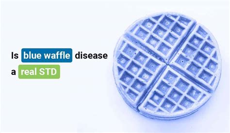 blue waffle disease pussy|Blue Waffle Disease .